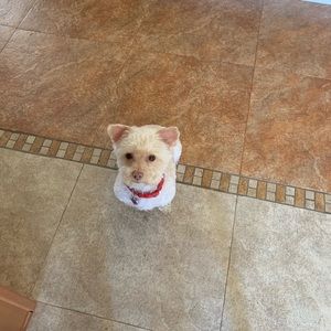 Meet your Posher, Marisol